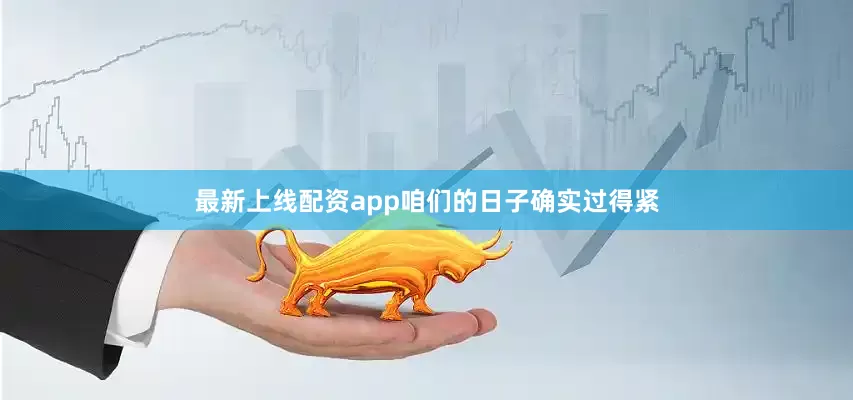 最新上线配资app咱们的日子确实过得紧