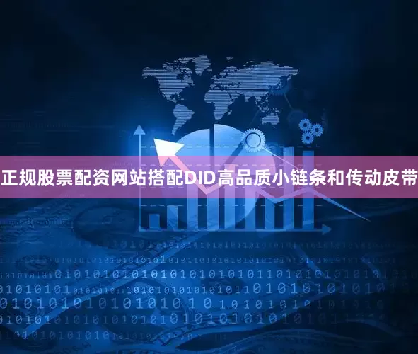 正规股票配资网站搭配DID高品质小链条和传动皮带