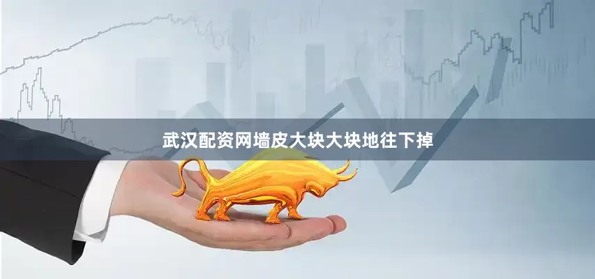 武汉配资网墙皮大块大块地往下掉